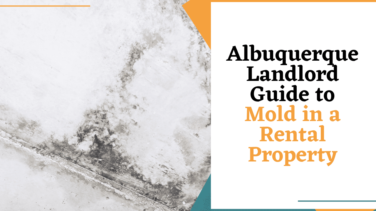 Albuquerque Landlord Guide to Mold in a Rental Property - Article Banner