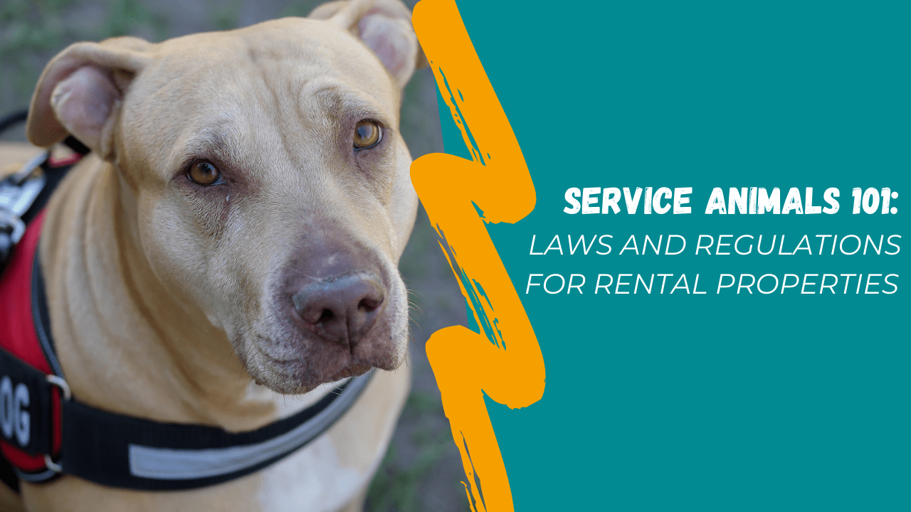 Service Animals 101: Laws and Regulations for Rental Properties in Albuquerque