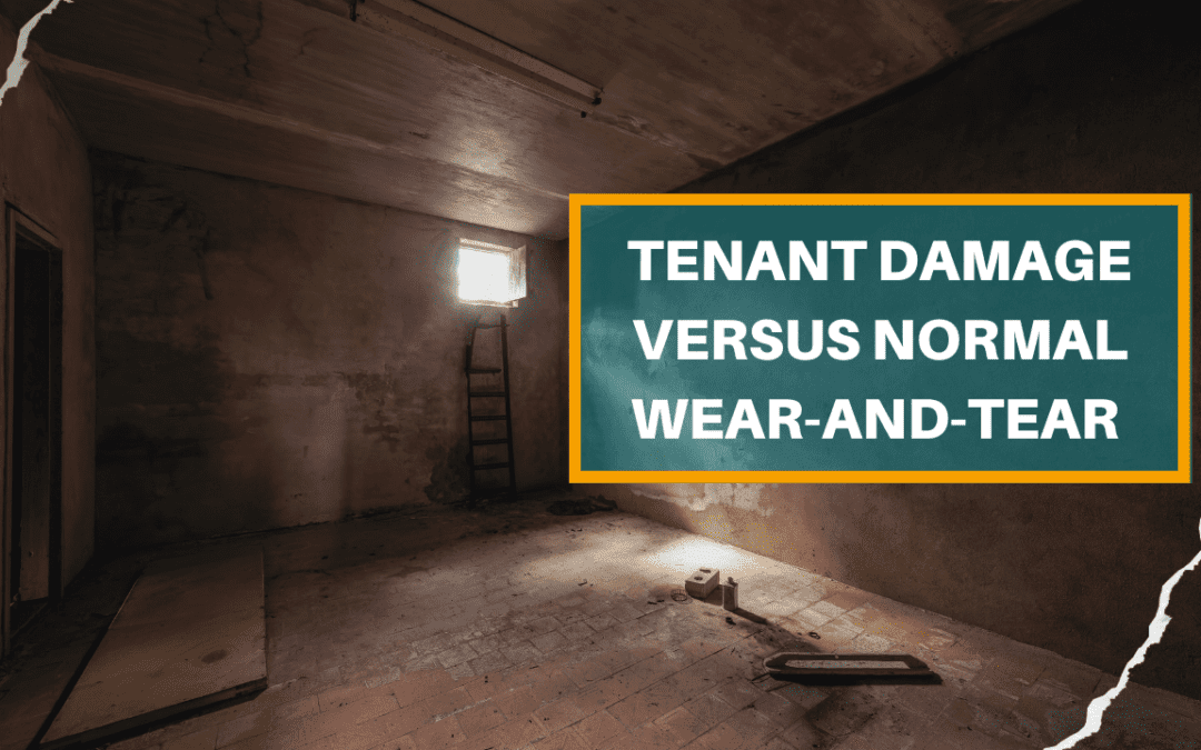 Tenant Damage versus Normal Wear-and-Tear | Albuquerque Property Management