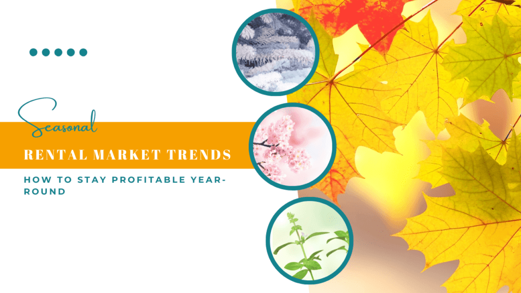 Albuquerque's Seasonal Rental Market Trends: How to Stay Profitable Year-Round - Article Banner