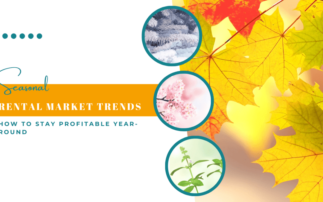 Albuquerque’s Seasonal Rental Market Trends: How to Stay Profitable Year-Round