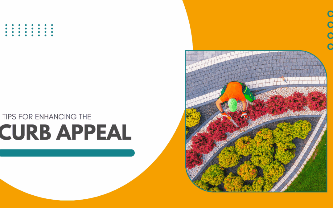 Tips for Enhancing the Curb Appeal of Your Albuquerque Rental