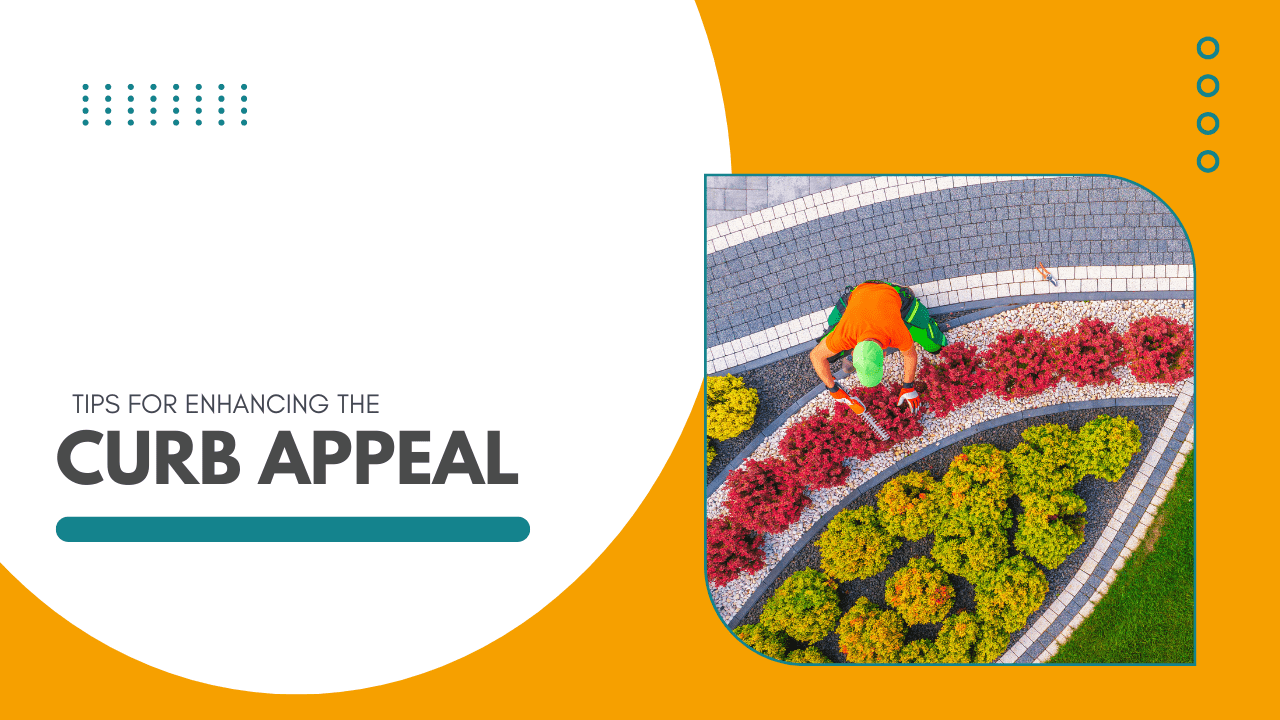 Tips for Enhancing the Curb Appeal of Your Albuquerque Rental